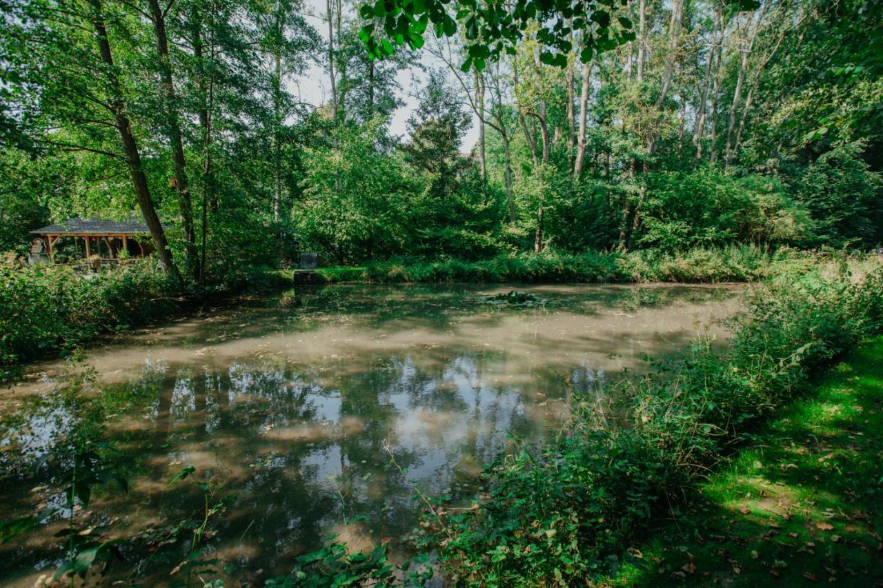 Ferienwohnung Panorama Teichblick Heldritt Exteriör bild